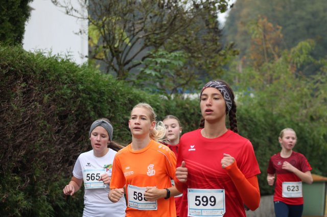 k-2024_crosscountry-land 260